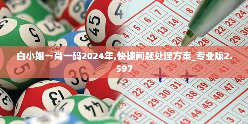 白小姐一肖一码2024年,快捷问题处理方案_专业版2.597