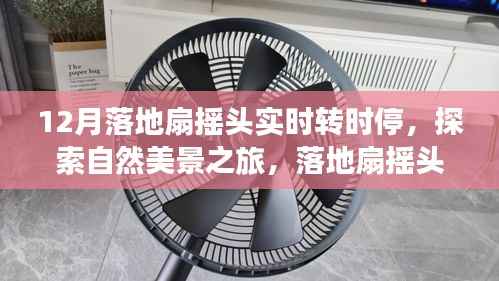 自然美景之旅,落地扇摇头实时转时停,冬日暖阳中的心灵对话