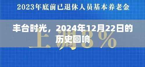 丰台时光,历史回响的印记 2024年12月22日回顾