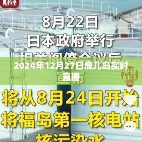 鹿儿岛实时直播，探索美丽的风景与风情