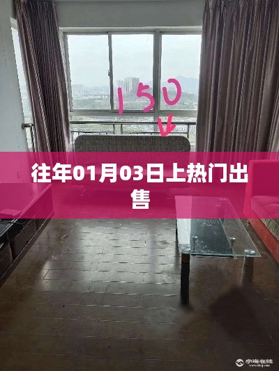 热门商品新年抢购盛宴,一月三日盛大开售