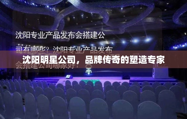 沈阳明星公司,品牌传奇的塑造专家