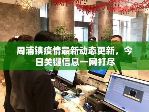 见缝就钻