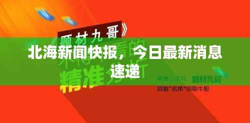 北海新闻快报,今日最新消息速递
