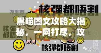 黑喵图文攻略大揭秘,一网打尽,攻略尽在掌握!