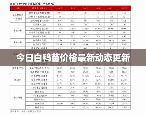 今日白鸭苗价格最新动态更新